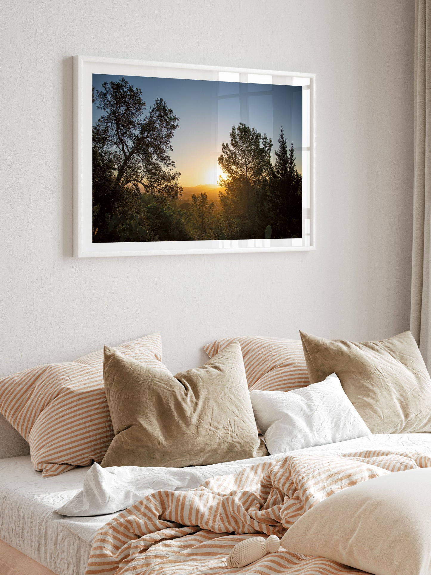 SUNRISE AND PINES . IBIZA SUNRISE