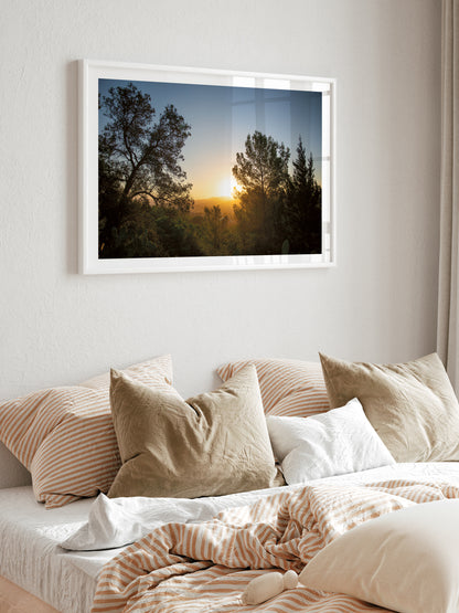 SUNRISE AND PINES . IBIZA SUNRISE