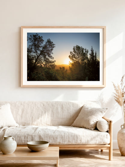 SUNRISE AND PINES . IBIZA SUNRISE