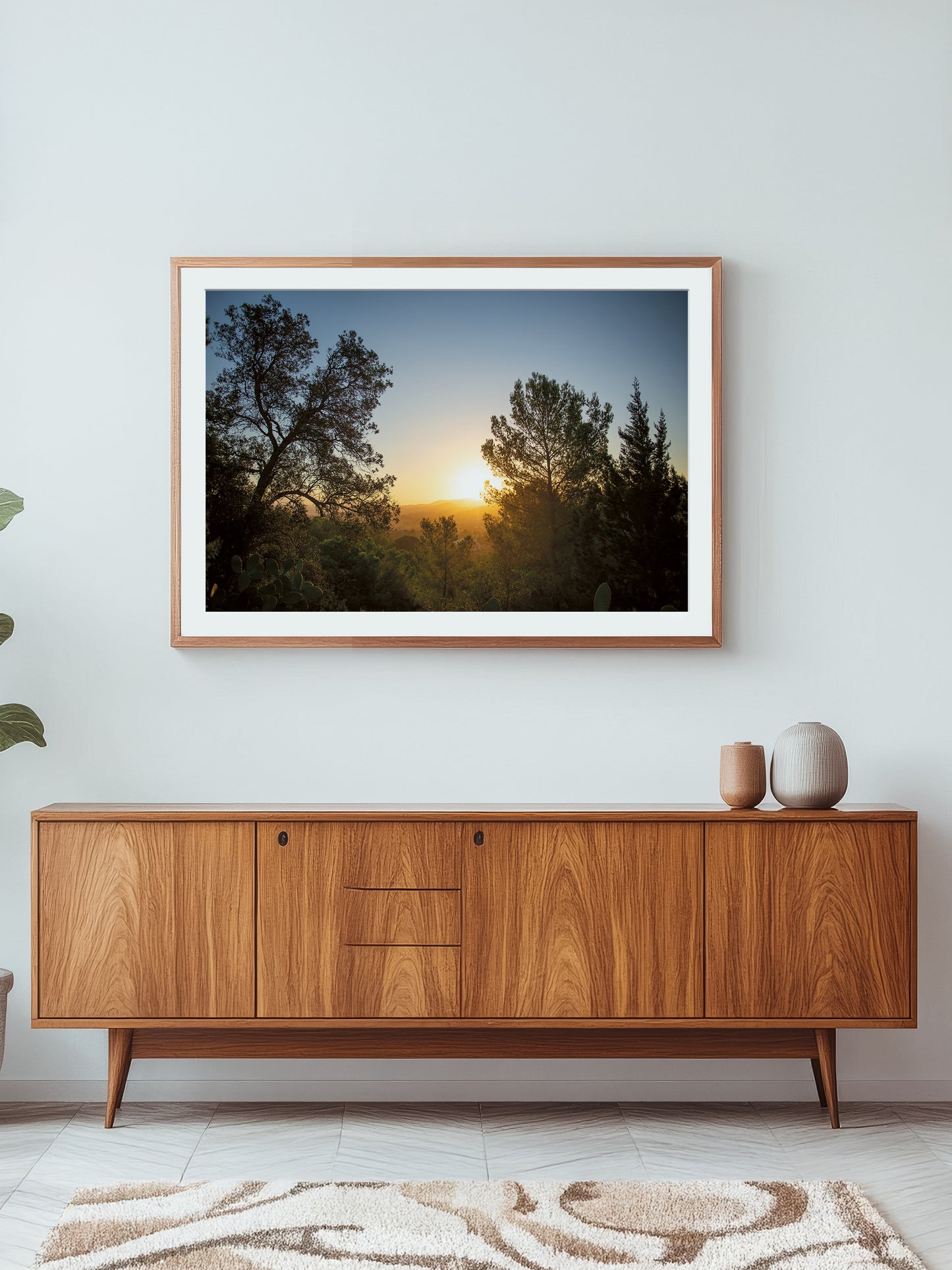 SUNRISE AND PINES . IBIZA SUNRISE