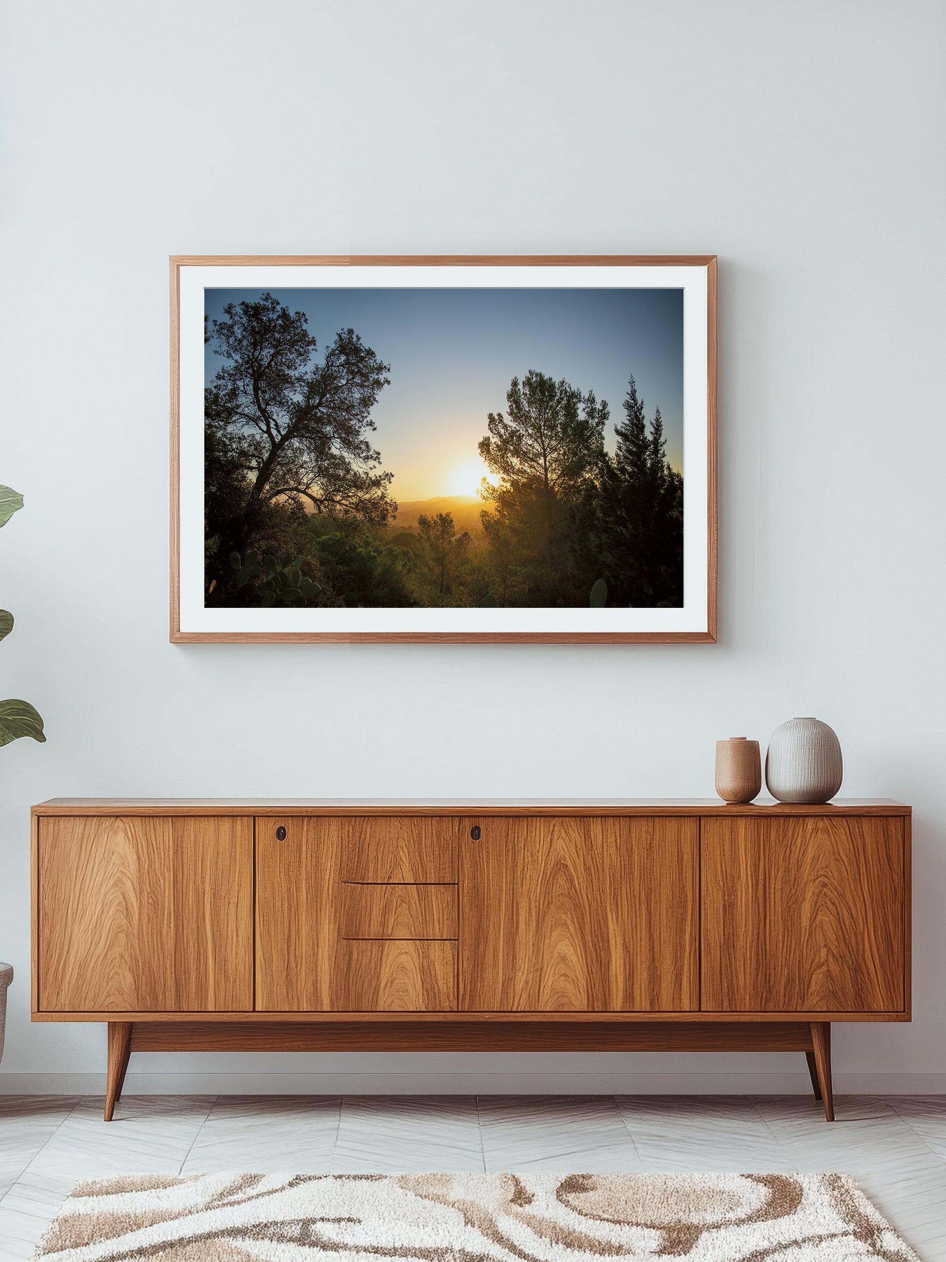 SUNRISE AND PINES . IBIZA SUNRISE