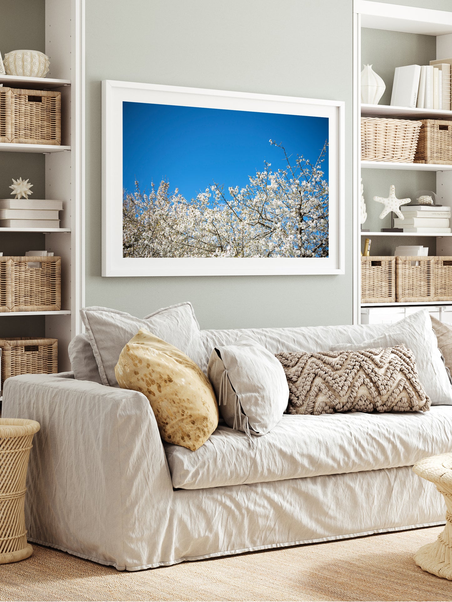 ALMOND BLOSSOM . IBIZA CAMPO