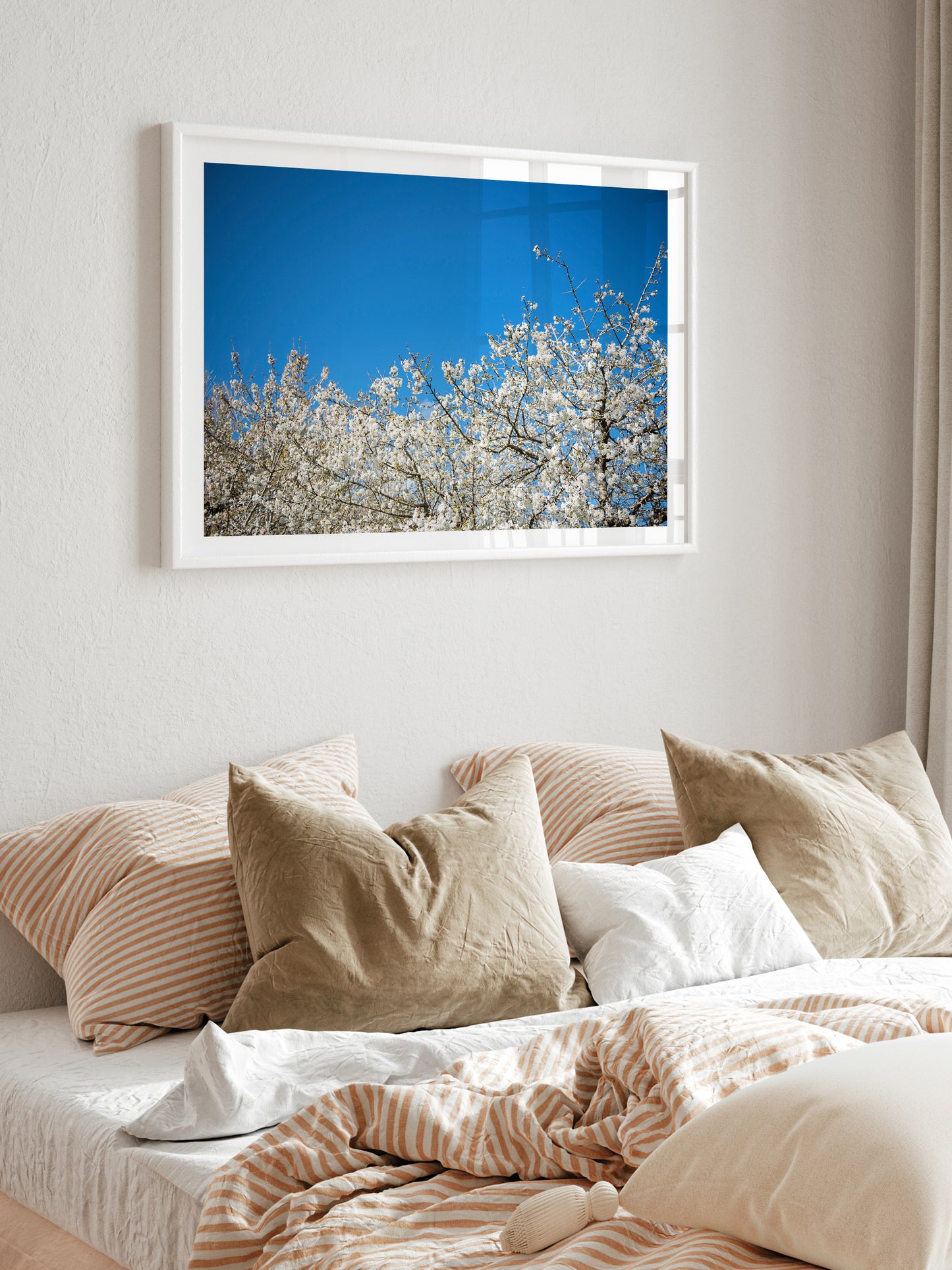 ALMOND BLOSSOM . IBIZA CAMPO
