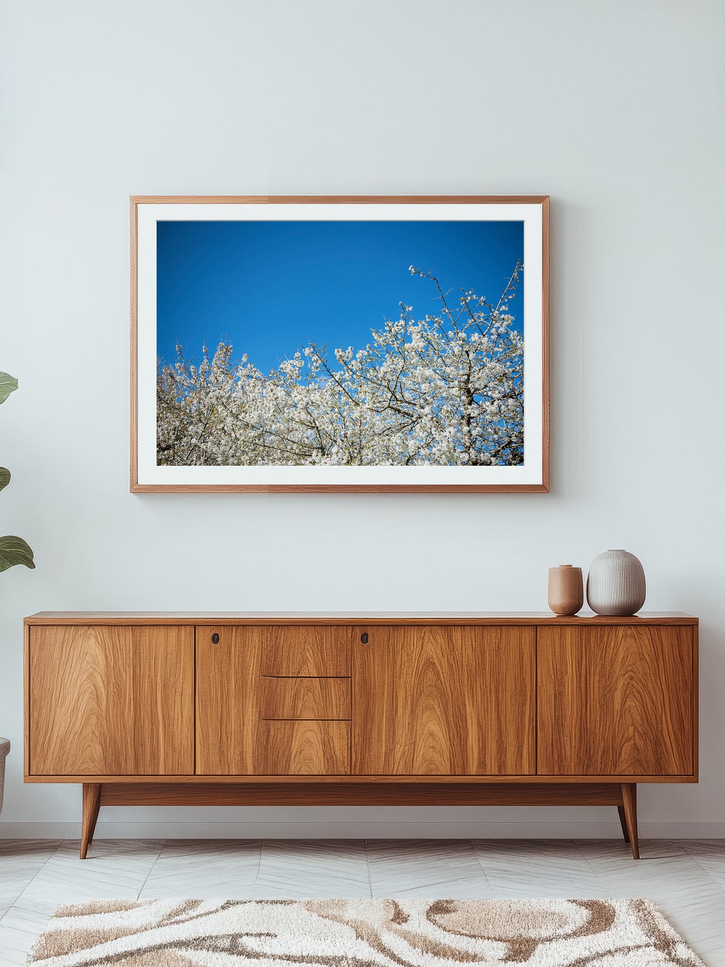 ALMOND BLOSSOM . IBIZA CAMPO