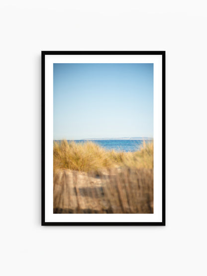 SAND DUNES ES CAVALLET . IBIZA BEACHES