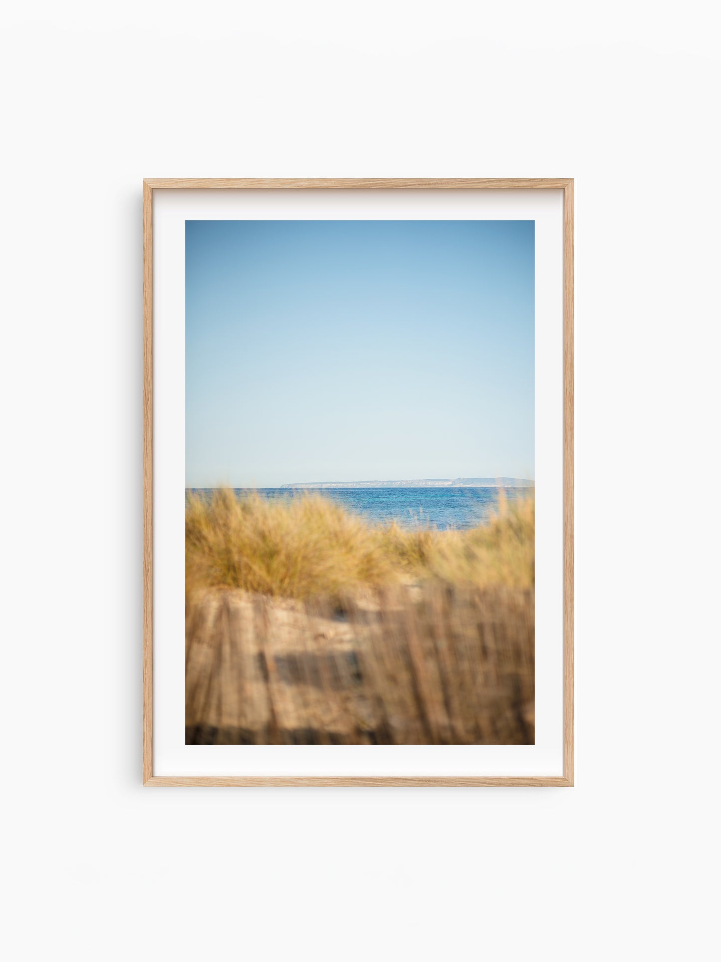 SAND DUNES ES CAVALLET . IBIZA BEACHES