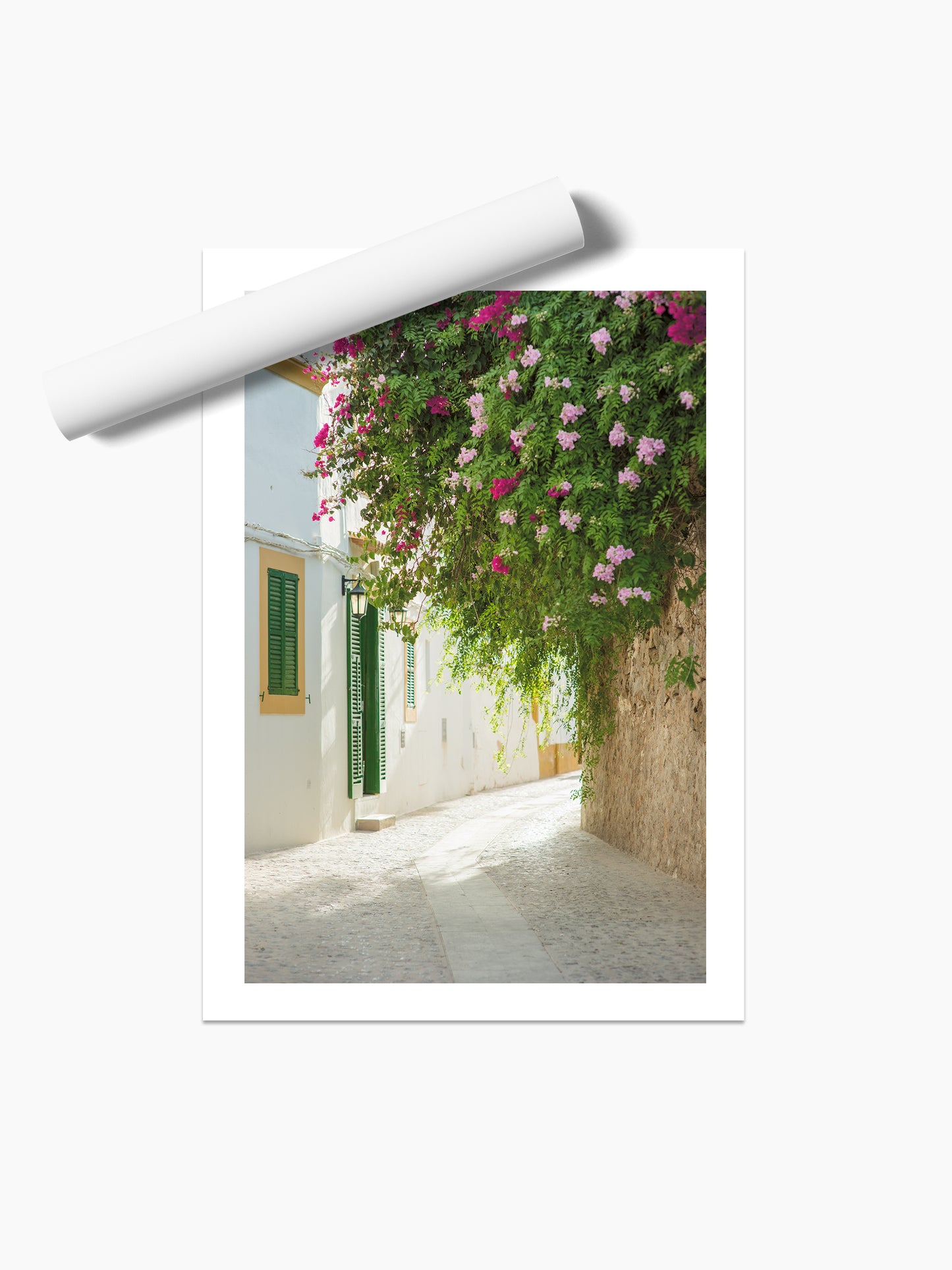 FLOWERS DALT VILLA . IBIZA TOWNS