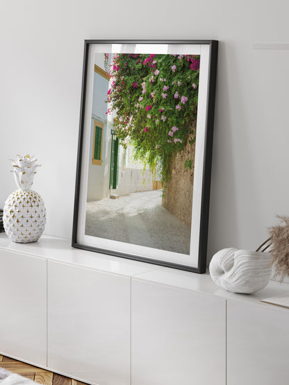 FLOWERS DALT VILLA . IBIZA TOWNS