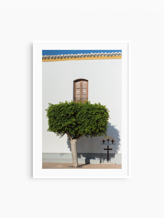 SANTA G TREE . IBIZA TOWNS