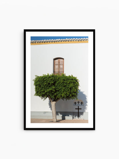 SANTA G TREE . IBIZA TOWNS