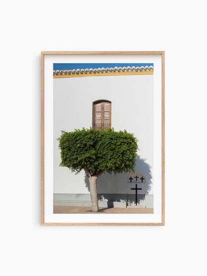 SANTA G TREE . IBIZA TOWNS