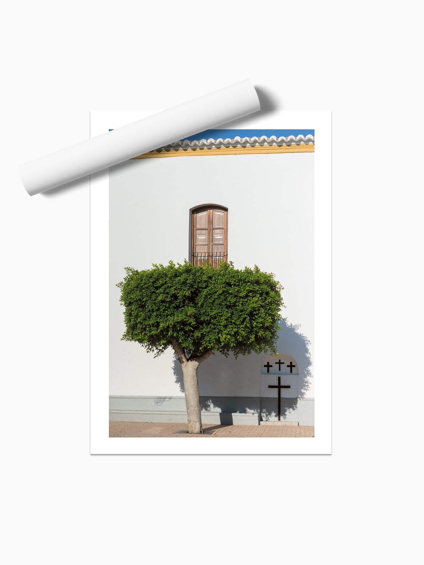 SANTA G TREE . IBIZA TOWNS
