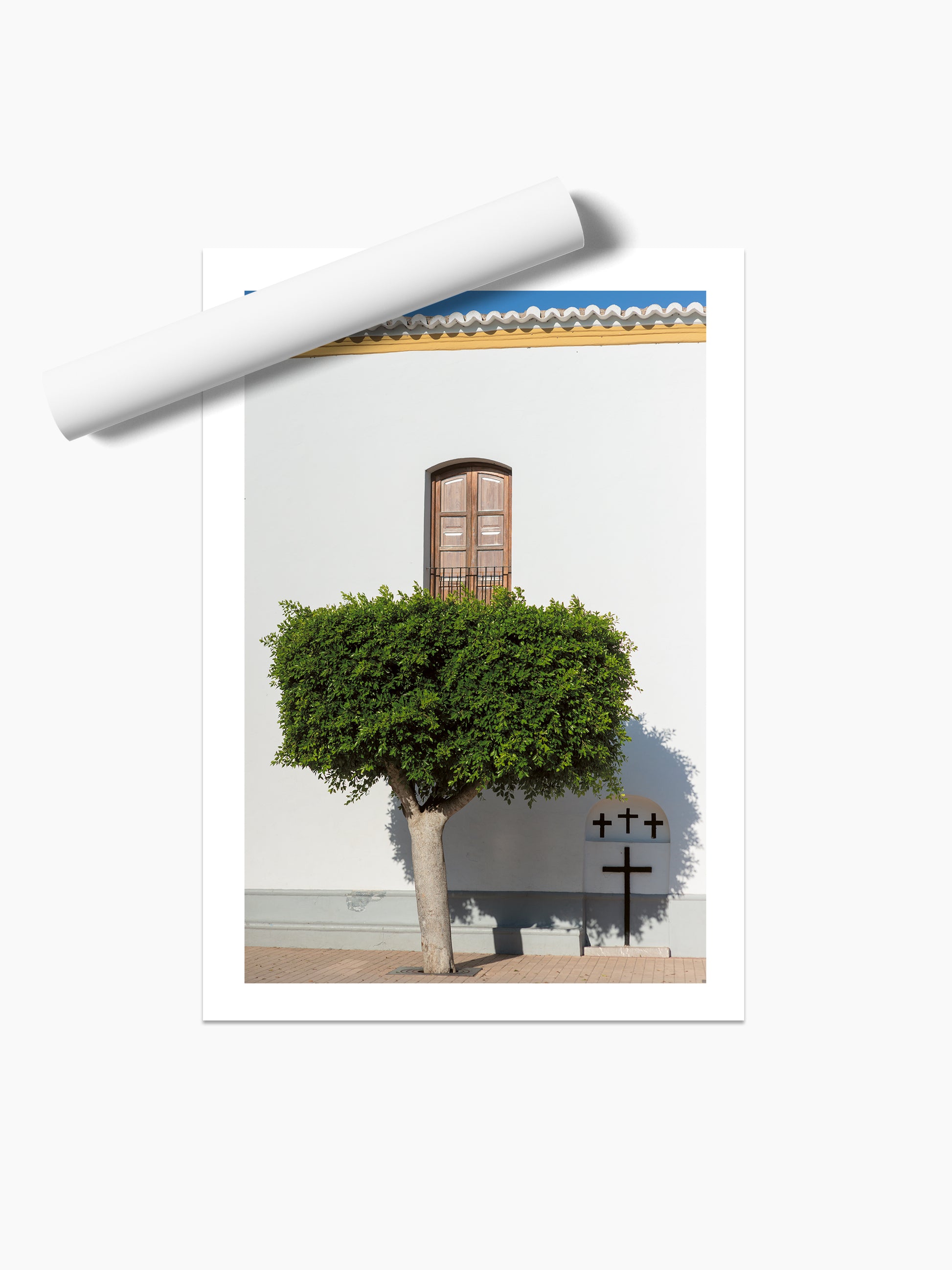 SANTA G TREE . IBIZA TOWNS