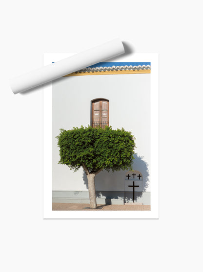 SANTA G TREE . IBIZA TOWNS