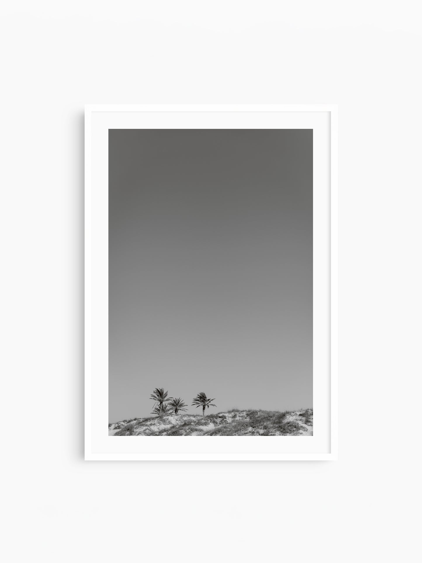 THREE PALMS . IBIZA BEACHES