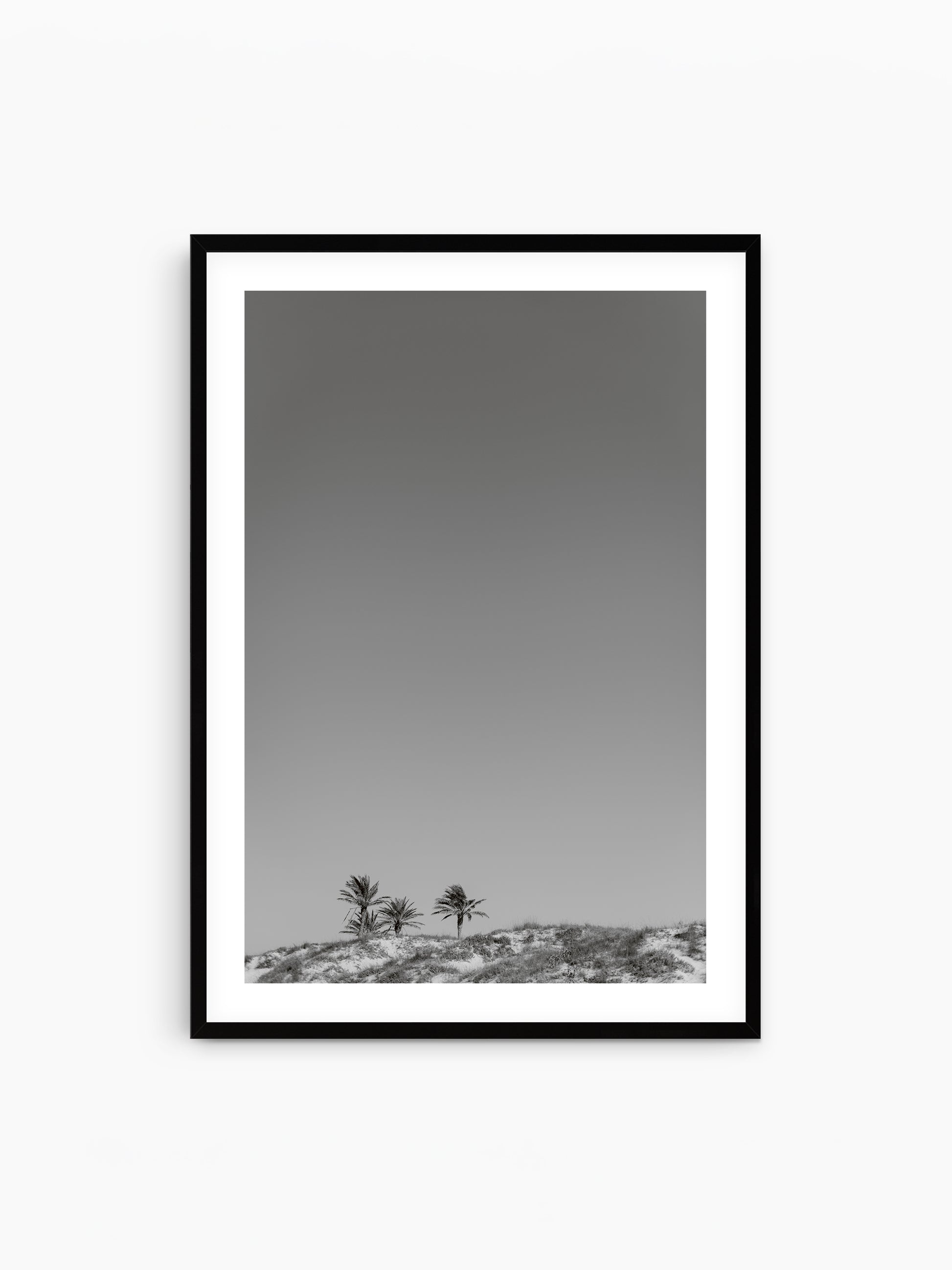 THREE PALMS . IBIZA BEACHES