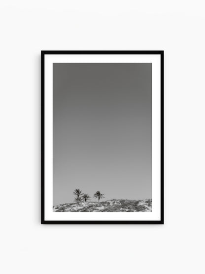 THREE PALMS . IBIZA BEACHES