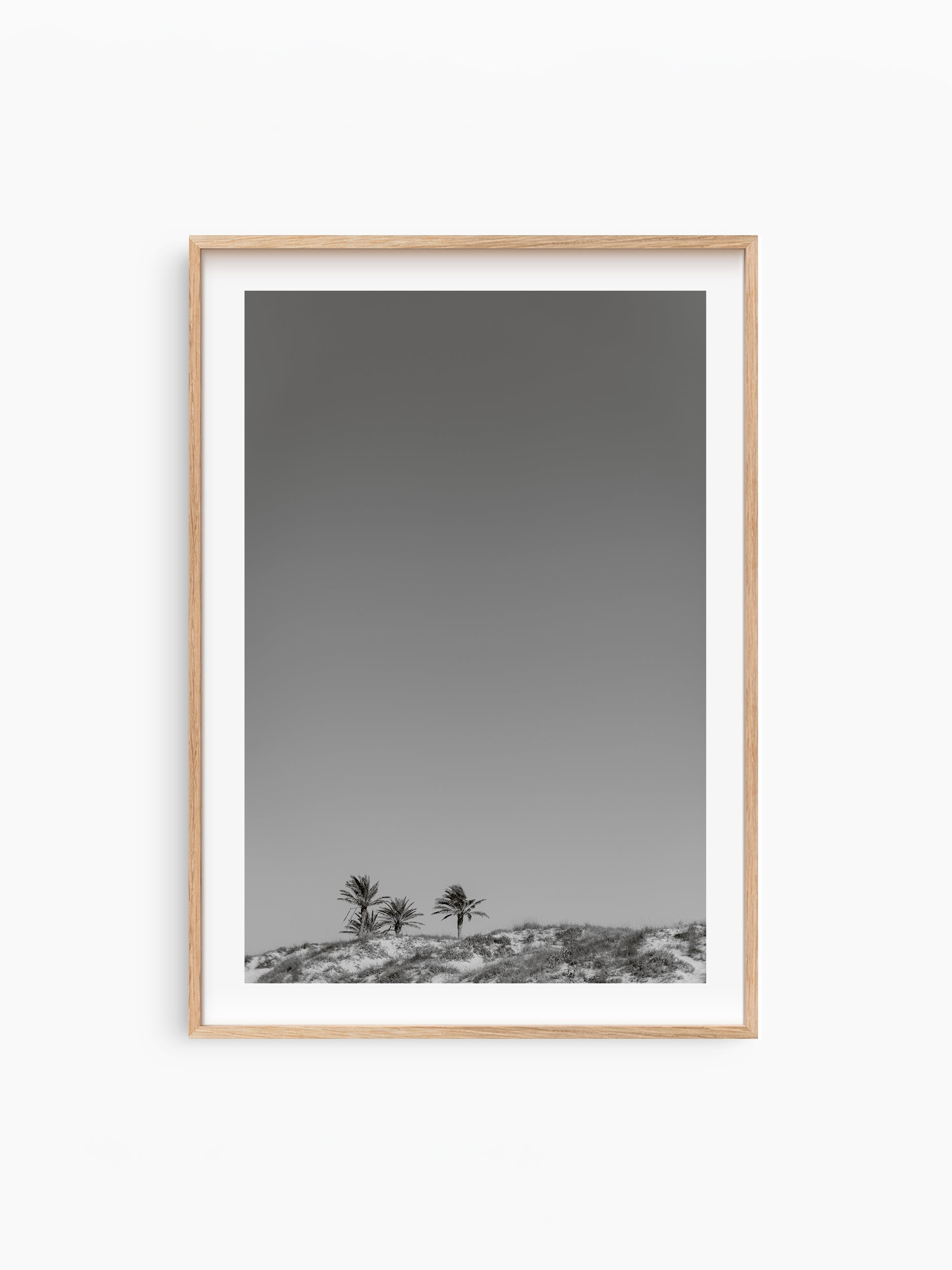 THREE PALMS . IBIZA BEACHES