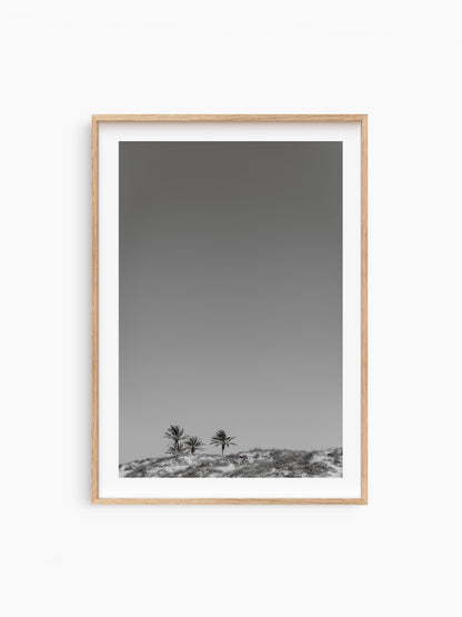 THREE PALMS . IBIZA BEACHES