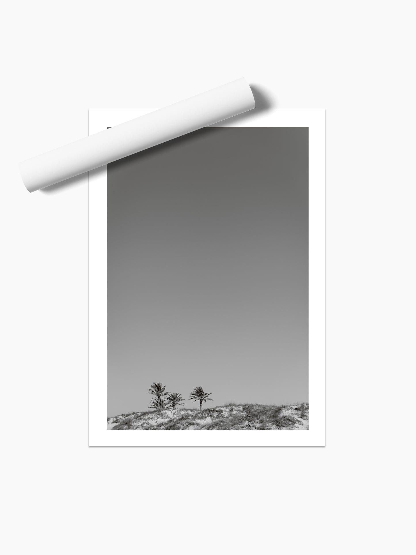 THREE PALMS . IBIZA BEACHES