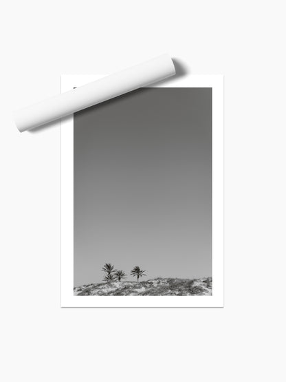 THREE PALMS . IBIZA BEACHES