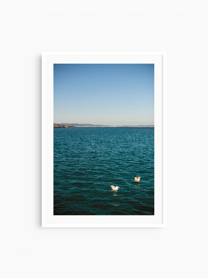 TWO GULLS . IBIZA SEASCAPES