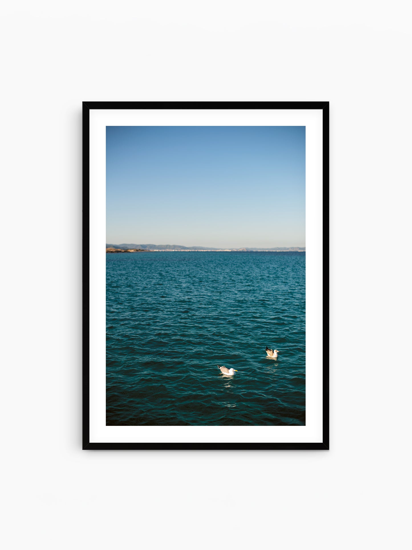 TWO GULLS . IBIZA SEASCAPES