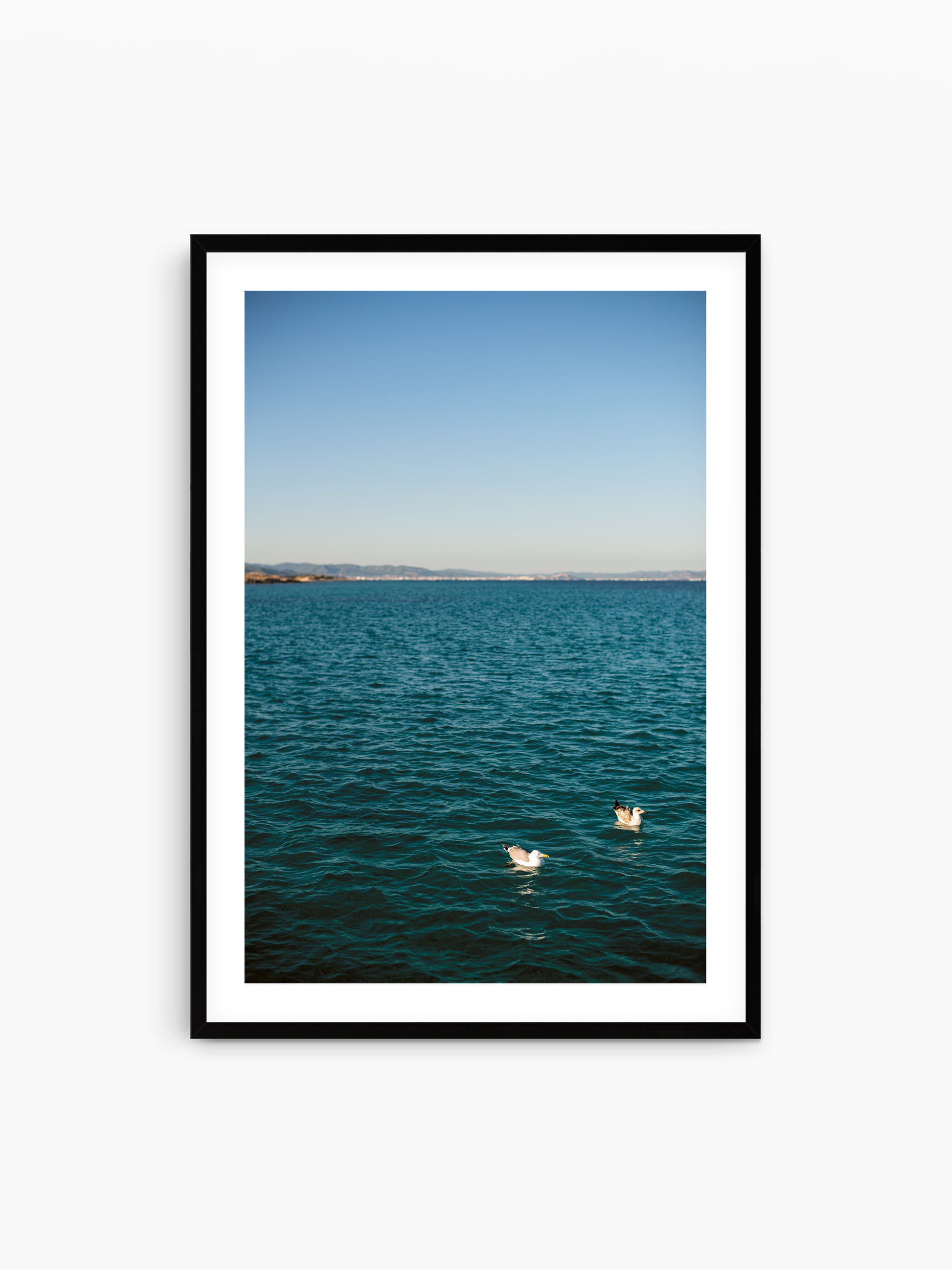TWO GULLS . IBIZA SEASCAPES