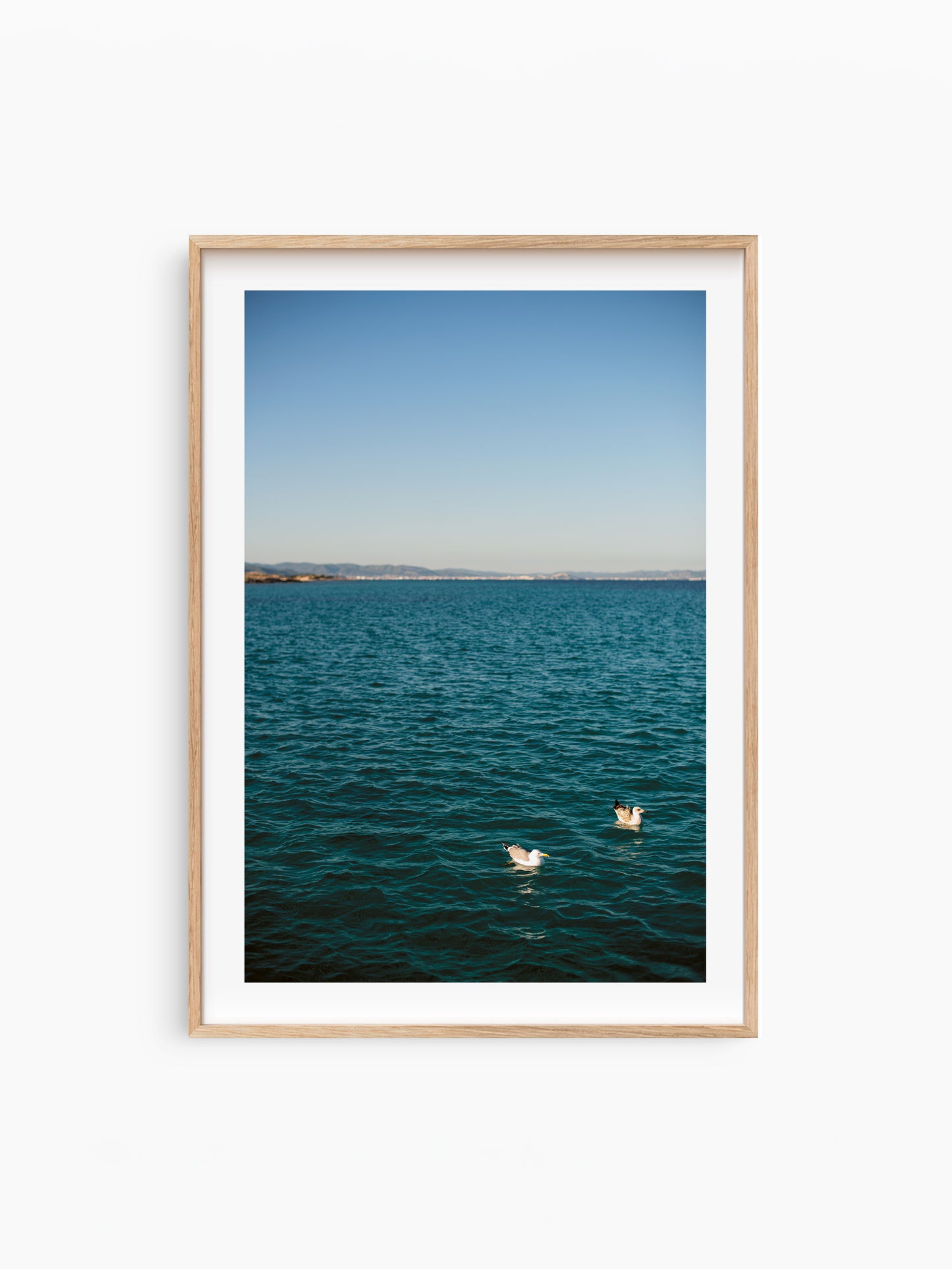 TWO GULLS . IBIZA SEASCAPES