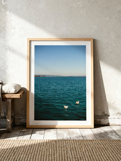 TWO GULLS . IBIZA SEASCAPES