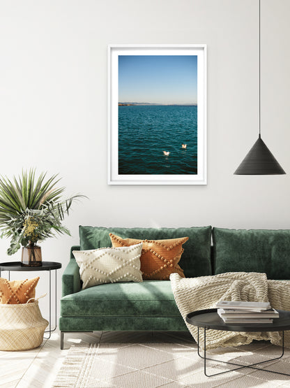 TWO GULLS . IBIZA SEASCAPES