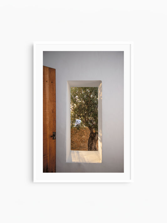 WINDOW WITH OLIVE . IBIZA CAMPO