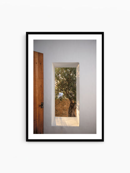 WINDOW WITH OLIVE . IBIZA CAMPO