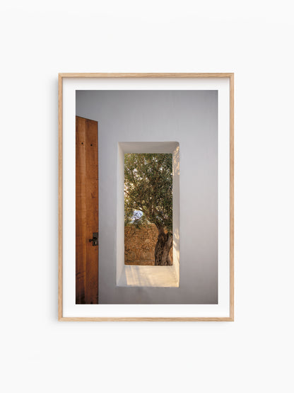 WINDOW WITH OLIVE . IBIZA CAMPO