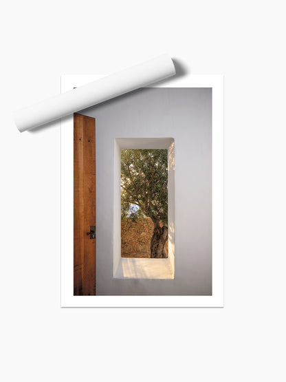 WINDOW WITH OLIVE . IBIZA CAMPO