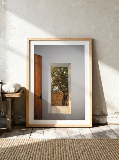 WINDOW WITH OLIVE . IBIZA CAMPO
